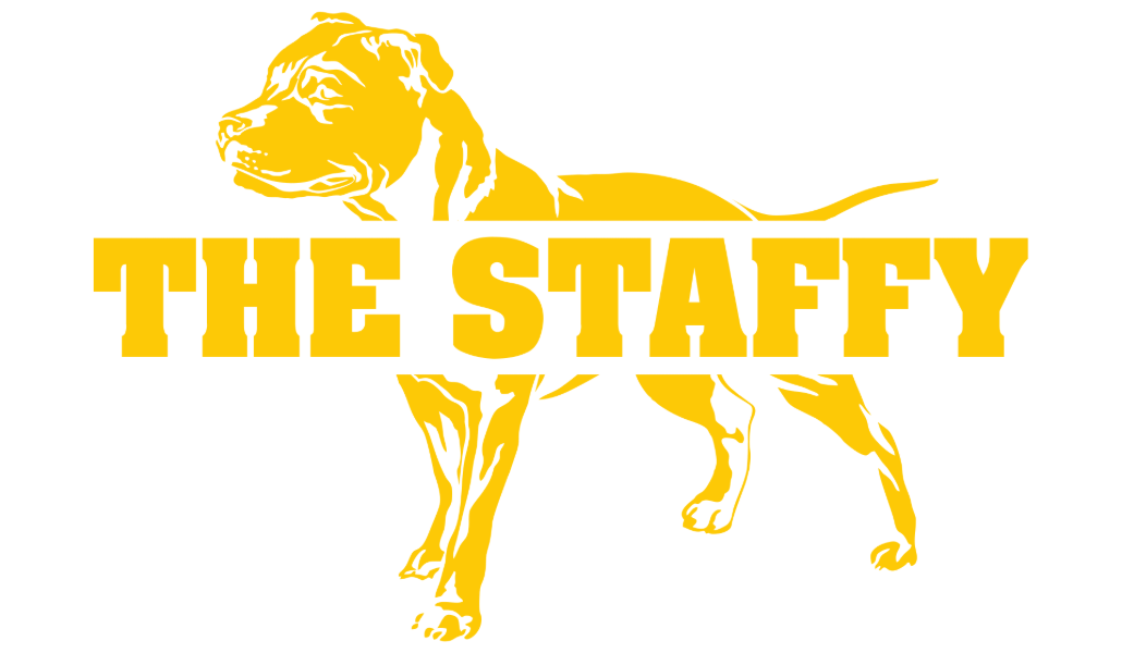 The Staffy